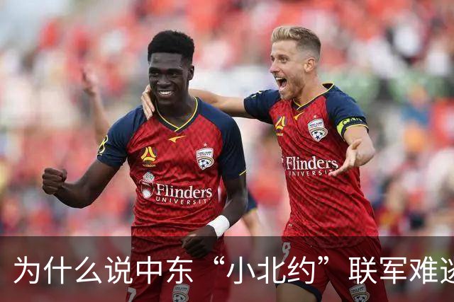 为什么说中东“小北约”联军难逃脆弱宿命？